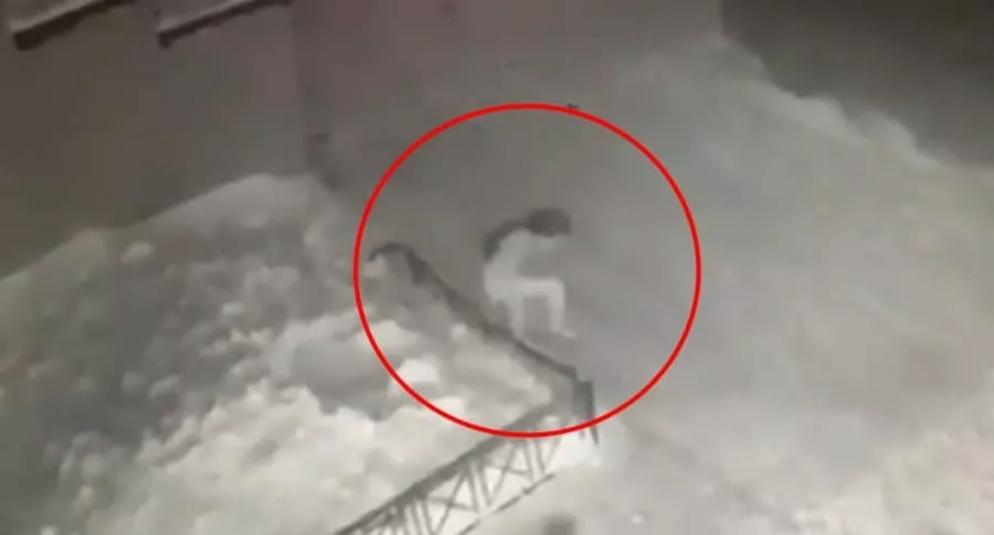 Captura de pantalla de niña que cae desde un cuarto piso a una montaña de nieve
