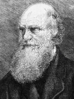 Ilustración de Charles Darwin
