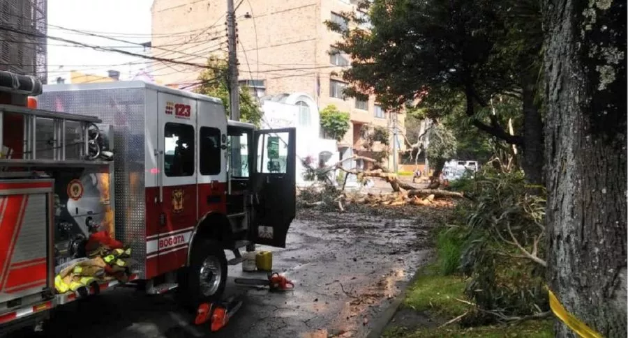 Lluvias en Bogotá: Bomberos cortan árboles que pueden caerse