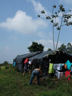 Ordenan capturas por asesinatos de excombatientes de Farc