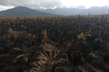 Imagen del páramo arrasado por el fuego, en Nariño. 