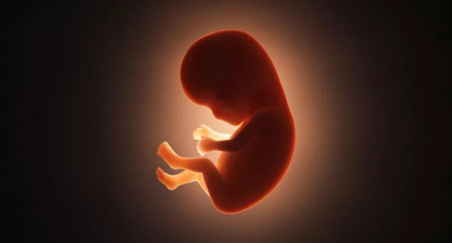 En Estados Unidos, una bebé tiene la misma edad de su madre, tras 28 años de estar congelada como embrión.