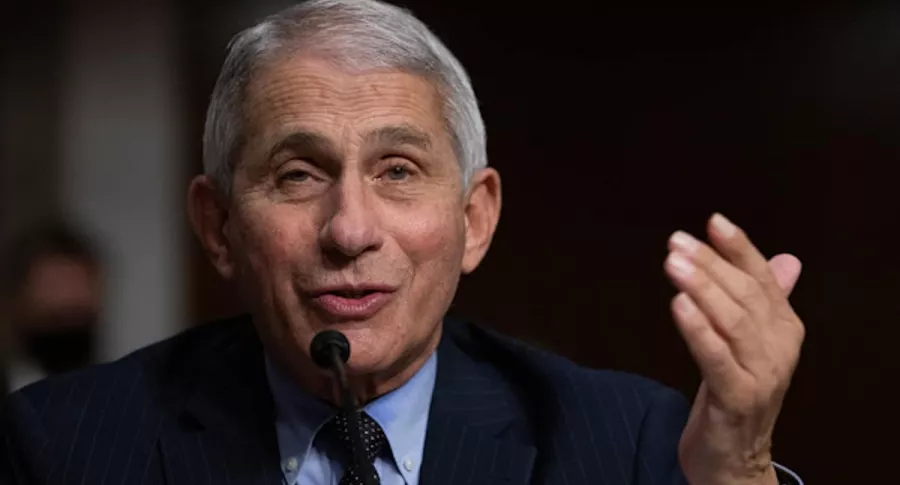 Anthony Fauci, director del National Institute of Allergy and Infectious Diseases