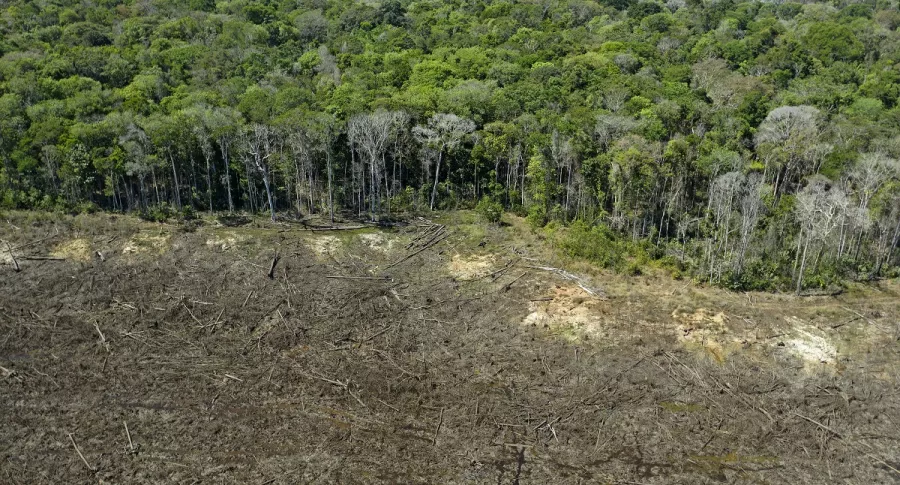 Vista aérea de un área deforestada cerca de Sinop, estado de Mato Grosso, Brasil, el 7 de agosto de 2020.