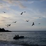Encuentran muertos a unos 19 venezolanos que naufragaron en intento por huir de su país