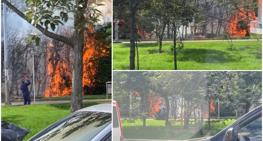 Imágenes del incendio en el norte de Bogotá. 