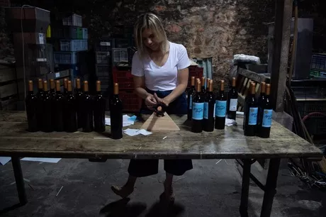 "Tocan a un uruguayo y nos tocan a todos", sentenció Rosas, mientras etiquetaba las botellas de vino / AFP.
