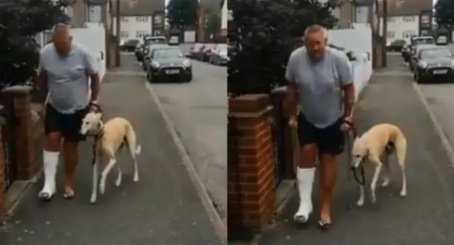 Capturas de pantalla de video de perro que finge tener lesión en una de sus patas, imitando a su amo