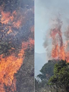 Incendio en Tocancipá este 19 de enero.