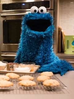 Una roca volcánica hallada en Brasil se parece al Monstruo Comegalletas, de Plaza Sésamo.