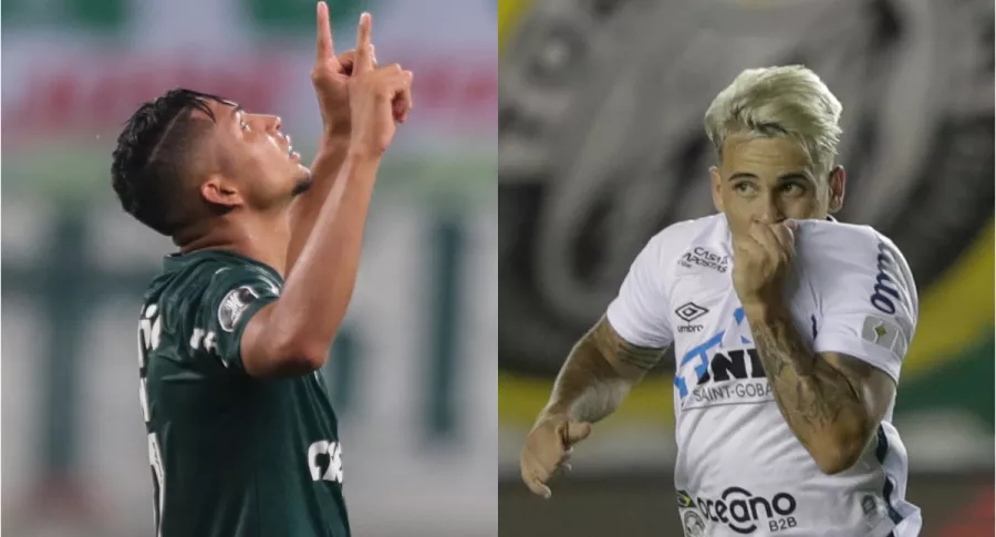 Palmeiras vs. Santos, final de la Copa Libertadores 2021. Hora y dónde ver el partido gratis.