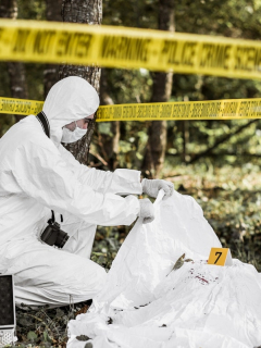 Las fosas comunes fueron halladas el mismo día en el que se encontraron los cadáveres de 4 jóvenes desaparecidos.