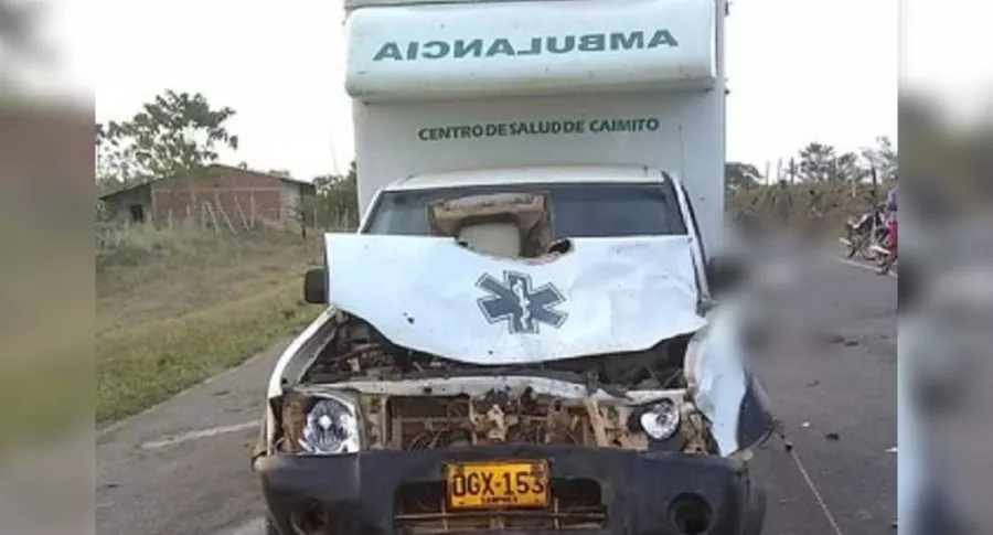 Ambulancia mató a vacas y dueño del ganado deberá pagar daños, en Sucre