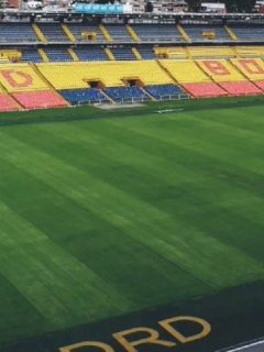 Estadio El Campín de Bogotá, al que no podrán asistir hinchas este año