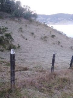 Reportan bajas temperaturas en Nemocón, Chiquinquirá y Tocancipá