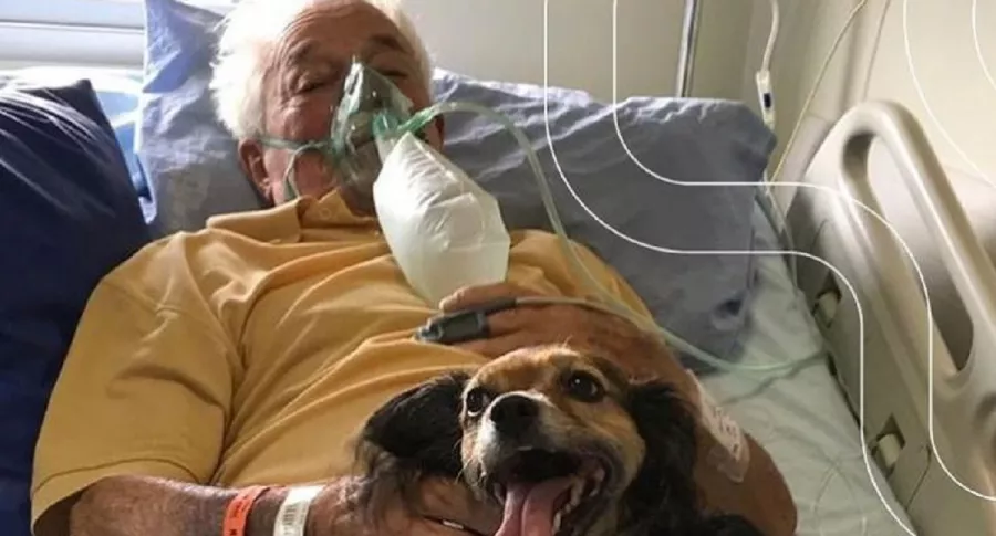 Frederico Lucas Minatto, de 92 años, recibió la inesperada visita de su perrita antes de morir por COVID-19 en Brasil. 