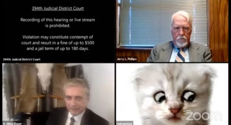 Captura de pantalla de audiencia virtual en EEUU, donde abogado ingresó con filtro de gato