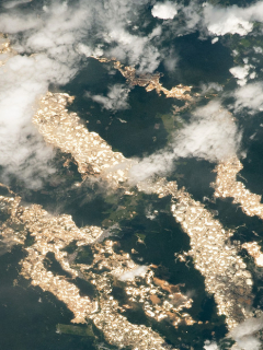 Captura de pantalla de foto de la Estación Espacial Internacional que captó ríos de oro en Perú