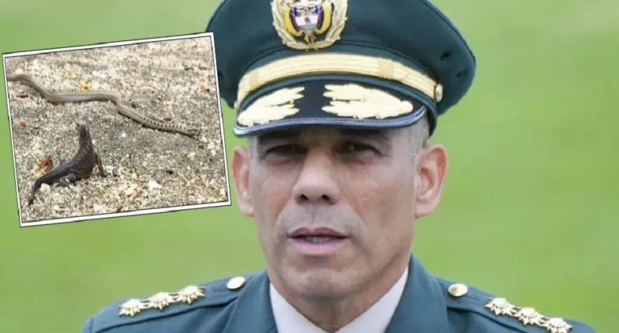 El comandante del Ejército, general Eduardo Zapateiro, publicó un video con serpientes que algunos ligan con falsos positivos y JEP