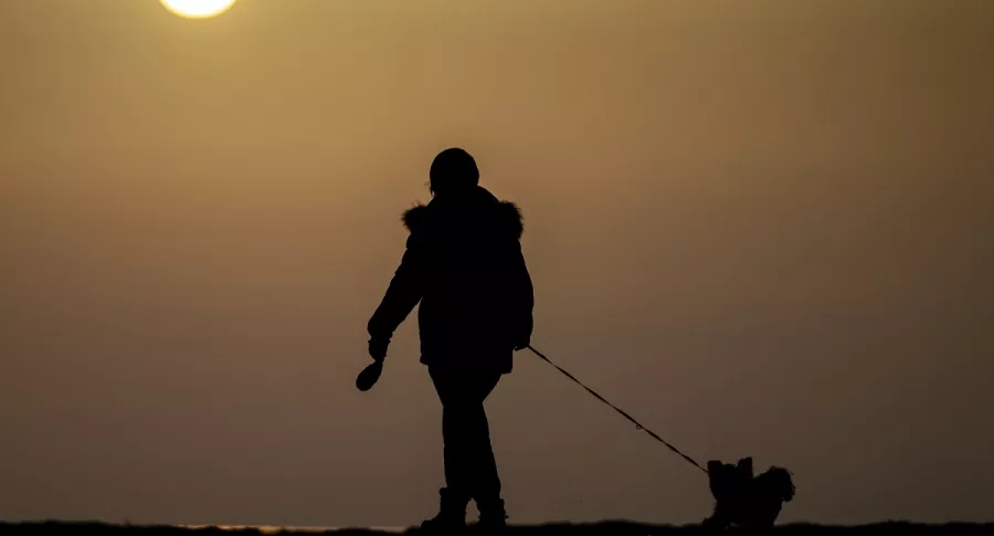 Imagen de persona con un perro ilustra artículo Perros acompañaron a primeros humanos que llegaron a América del Norte