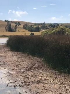 Laguna de Suesca, a punto de secarse.