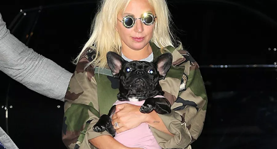 Lady Gaga y una de sus mascotas.