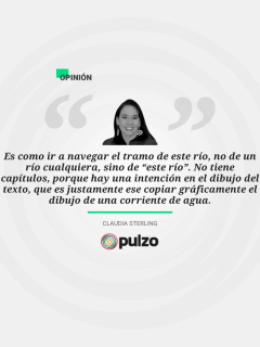 Frase destacada sobre reseña de la última novela de Selva Almada