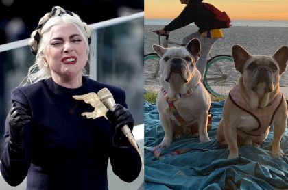 La cantante Lady Gaga recuperó a sus perros, que habían sido robados.