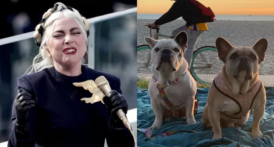 La cantante Lady Gaga recuperó a sus perros, que habían sido robados.