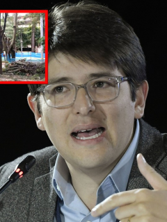 Carlos Galán y Miguel Uribe denuncian tala de árboles en Bogotá.