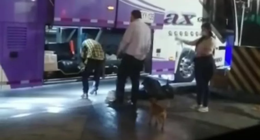 En Pereira denunciaron el traslado de dos perros encostalados en la bodega de un bus intermunicipal. Piden respuesta de las autoridades. 