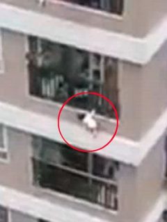 Captura de pantalla de video viral de niña de 3 años que cae desde un piso 12 y domiciliario la atrapa en el aire y la salva