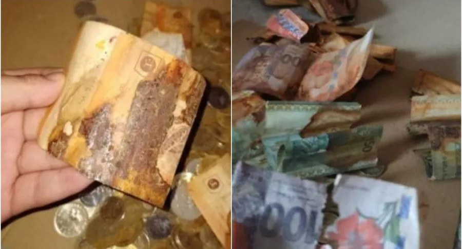 Capturas de pantalla de ahorros perdidos de mujer que guardó monedas con billetes en Malasia