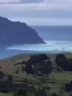Olas de tsunami en Nueva Zelanda luego de los tres terremotos