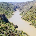 "Era él o yo": cayó a río y tuvo que soltar a su bebé porque se estaba ahogando