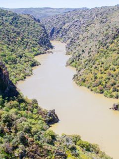 Río caudaloso, ilustra nota de hombre en Argentina suelta a su bebé en río porque él se estaba ahogando