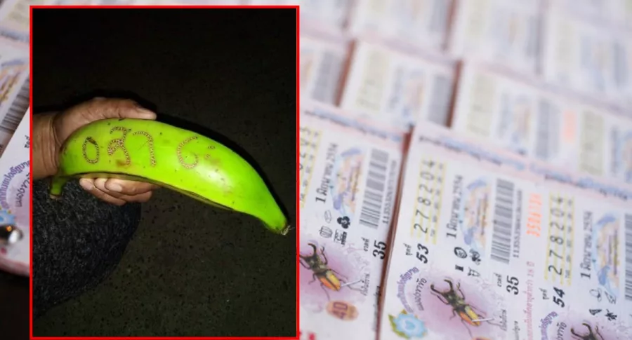 Billetes de lotería y captura de pantalla de números en plátano que hizo ganar lotería a chocoanos