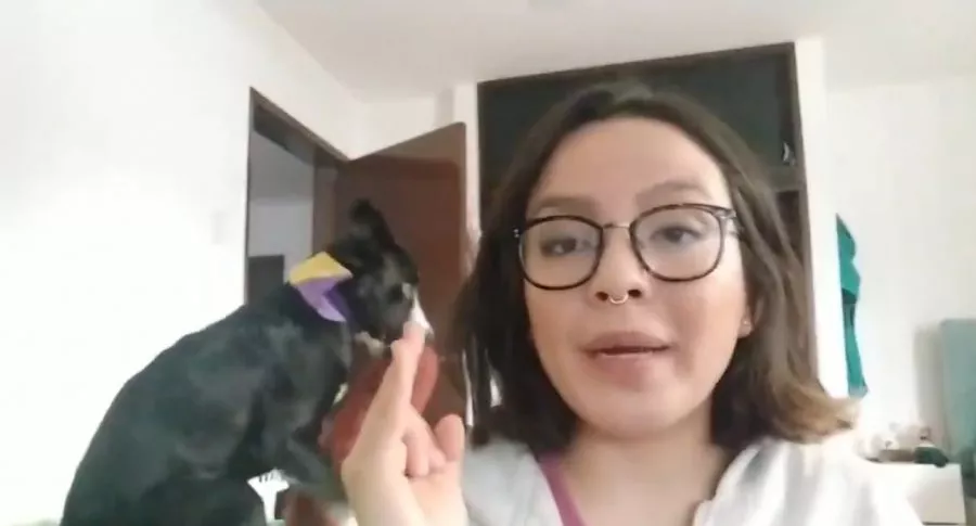 Video de un perro mientras que una joven universitaria da discurso.