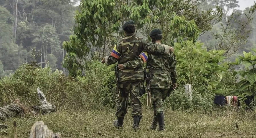 Identifican a otra menor de edad muerta en bombardeo de las FARC.