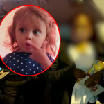Ni mamá de Sara Sofía ni su expareja aceptaron cargos por desaparición de la niña
