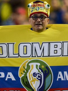 Hincha de la Selección Colombia, como los que podrían entrar a los estadios de la Copa América según confirmó Conmebol