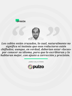 Frase destacada sobre la escritura de las dignidades en instituciones públicas y privadas