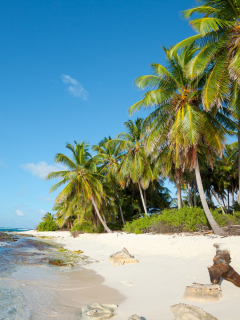 Isla de San Andrés ilustra nota sobre viaje de concejales de Malambo, Atlántico, por el que los critican