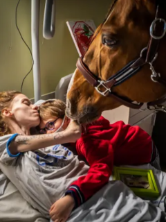 Dr. Peyo, el caballo que reconforta pacientes con Marion y Ethan. Foto nominada a Mejor Foto del Año por World Press
