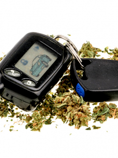 No es permitido conducir bajo los efectos del cannabis.