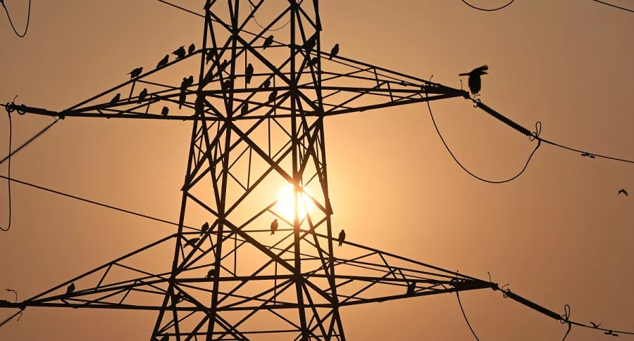 Imagen de pájaros en líneas eléctricas ilutra artículo En España demandan a empresa eléctrica por electrocución de pájaros