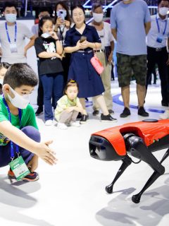 Perro-robot.