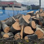 [Video] Sigue tala de árboles en Bogotá: así luce Avenida 68 por donde irá Transmilenio