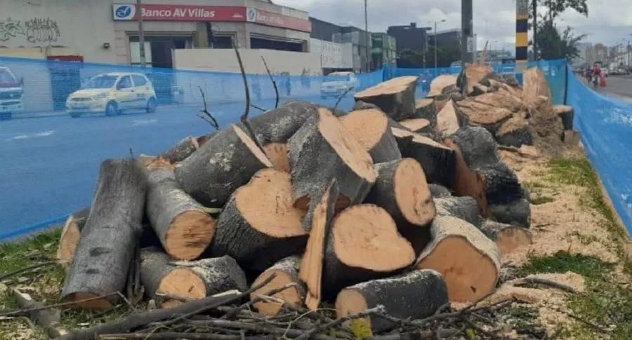La tala de árboles en la Avenida 68 de Bogotá, donde irá la nueva troncal de Transmilenio continúa llevándose a cabo pese a las protestas de la ciudadanía.