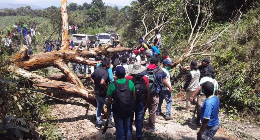 Indígenas reportan ataque armado a Minga indígena en Caldono, Cauca